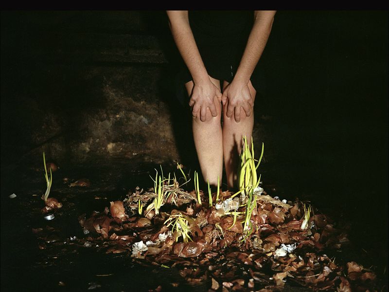 © Maria Oliveira - Image from the Bone Foam photography project