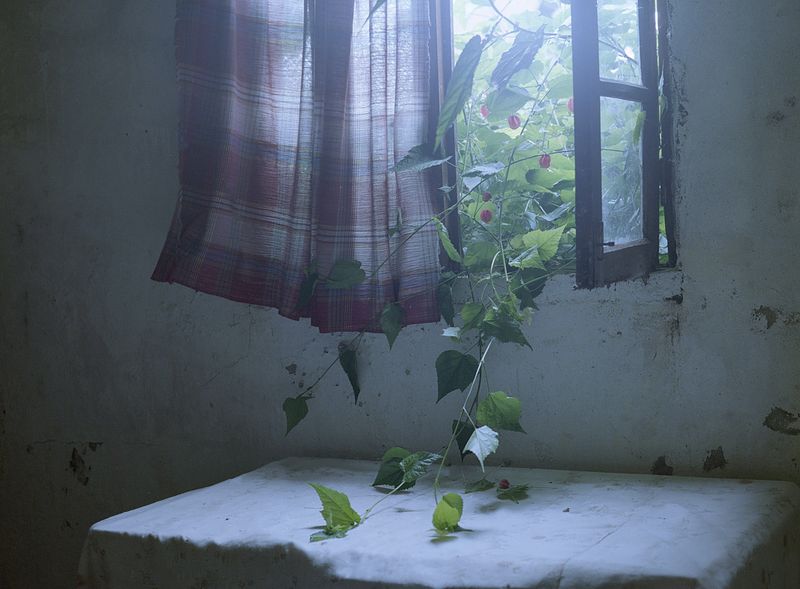 © Maria Oliveira - Image from the Bone Foam photography project