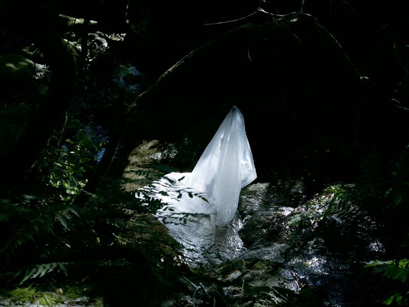 © Maria Oliveira - Image from the Bone Foam photography project