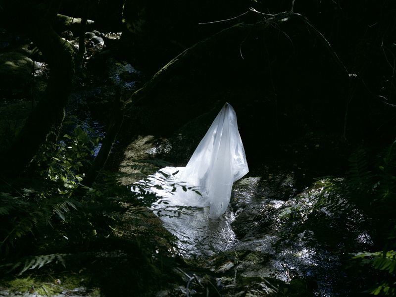 © Maria Oliveira - Image from the Bone Foam photography project