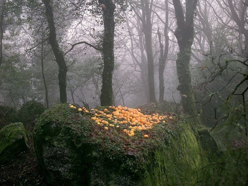 © Maria Oliveira - Image from the Bone Foam photography project