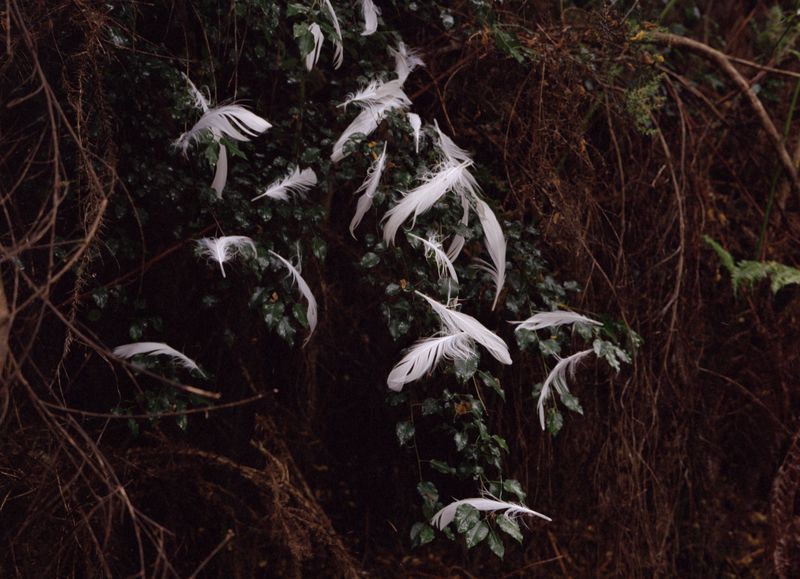 © Maria Oliveira - Image from the Bone Foam photography project