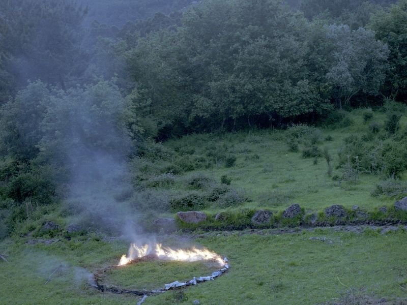 © Maria Oliveira - Image from the Bone Foam photography project