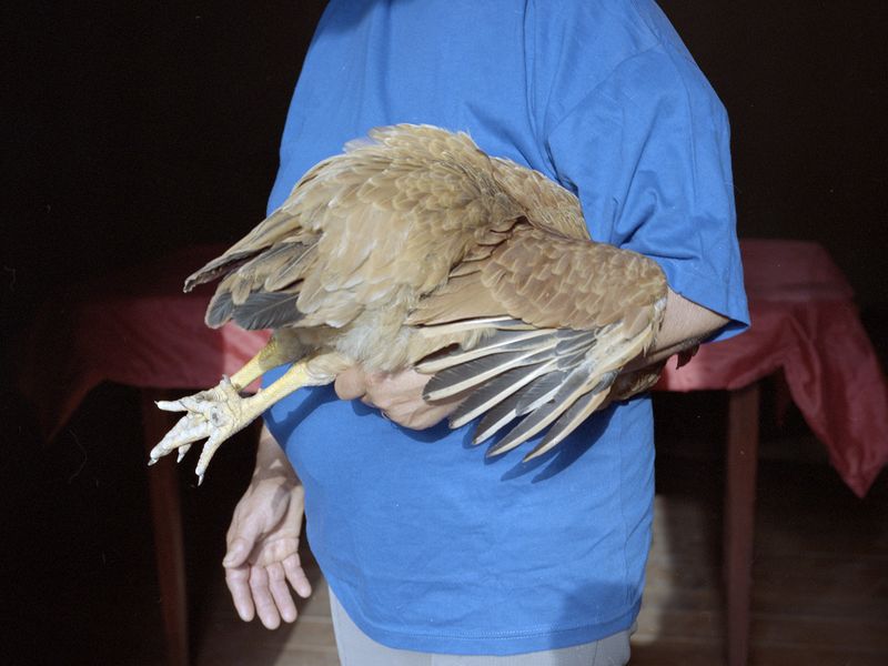 © Maria Oliveira - Image from the Bone Foam photography project