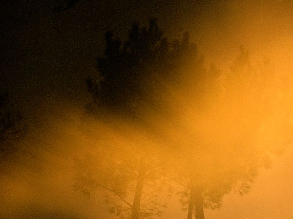 © Maria Oliveira - Image from the Bone Foam photography project