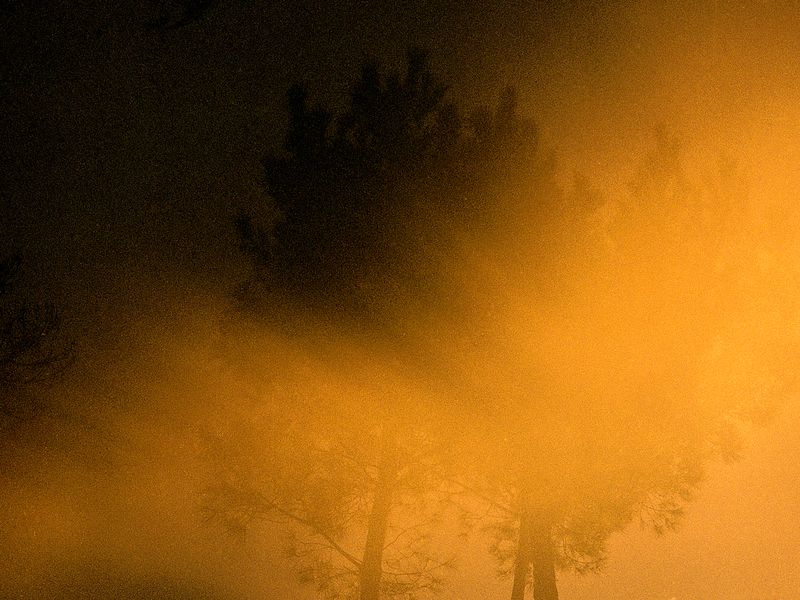 © Maria Oliveira - Image from the Bone Foam photography project