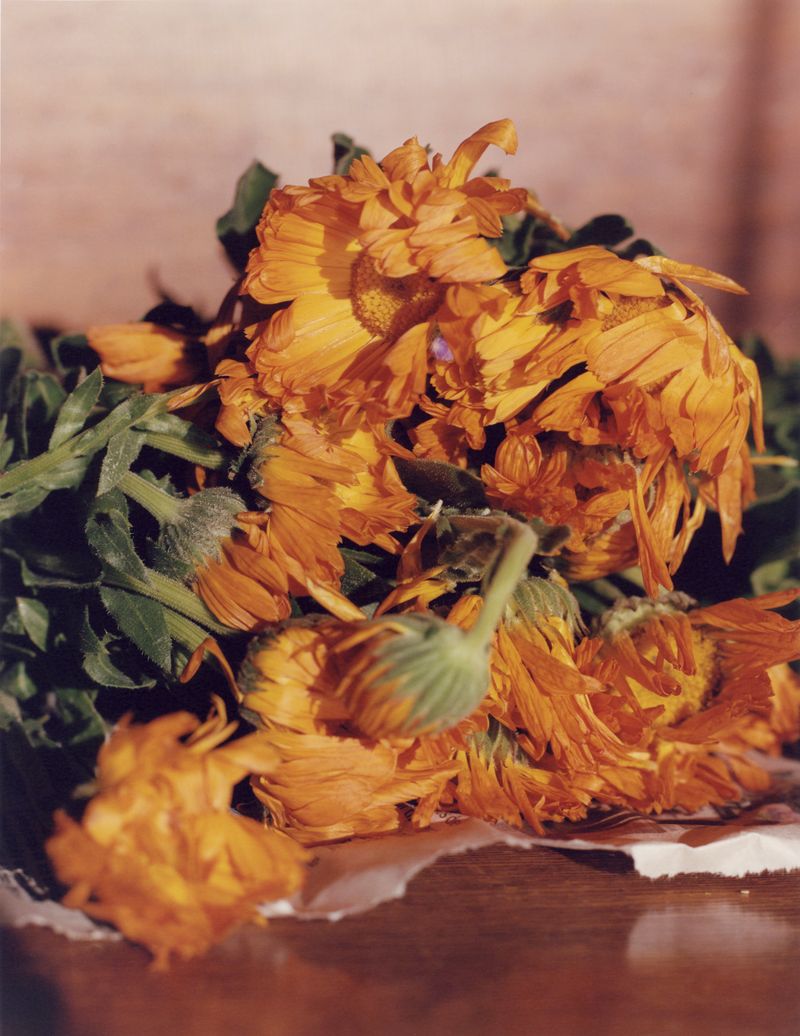 © Mateo Arciniegas Huertas - Image from the Olvido Pa' Recordar (Forget To Remember) photography project