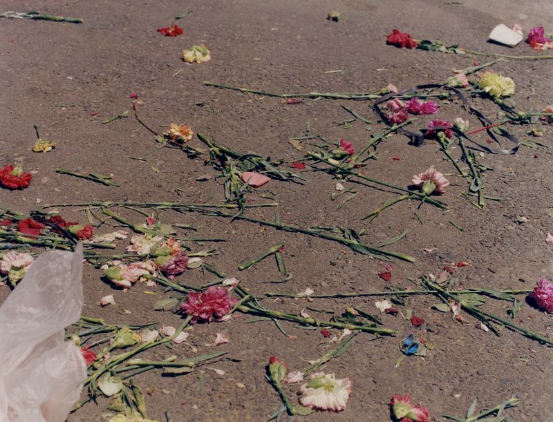 © Mateo Arciniegas Huertas - What was left.