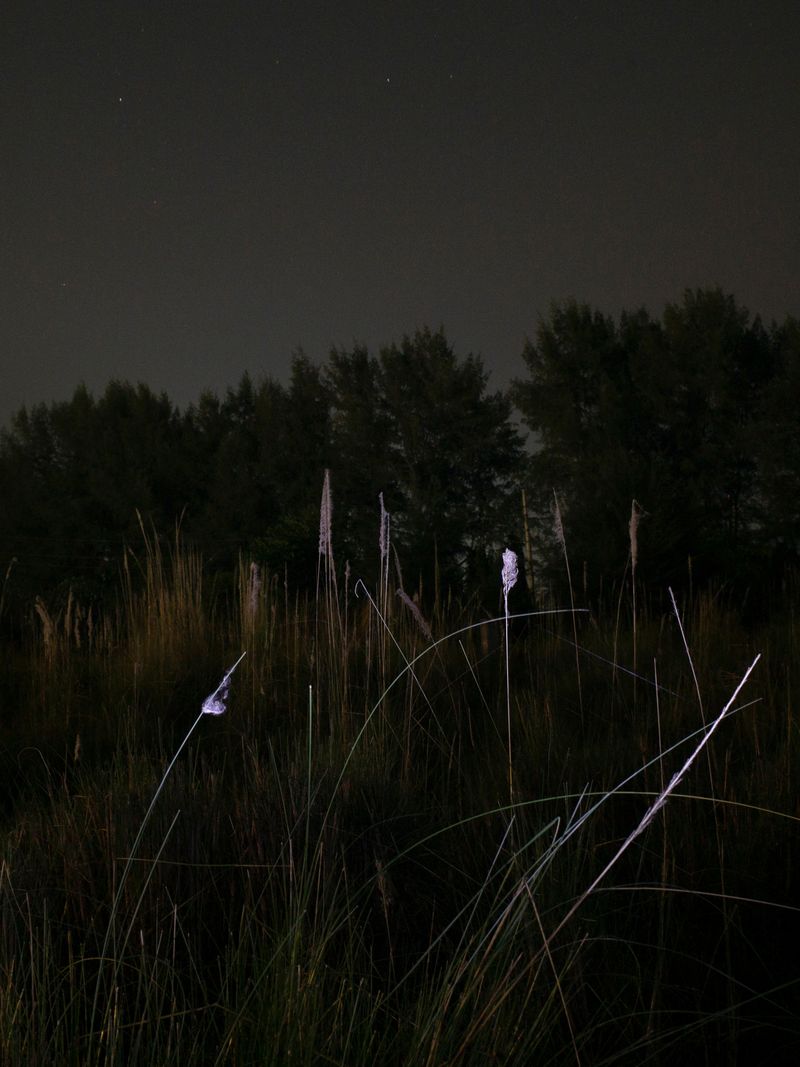 © Faysal Zaman - Image from the Red photography project