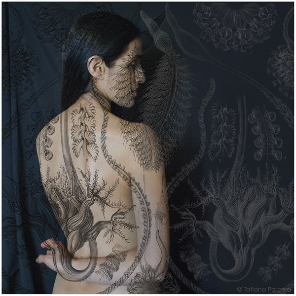 ©Tatiana Parcero, from the series Universus