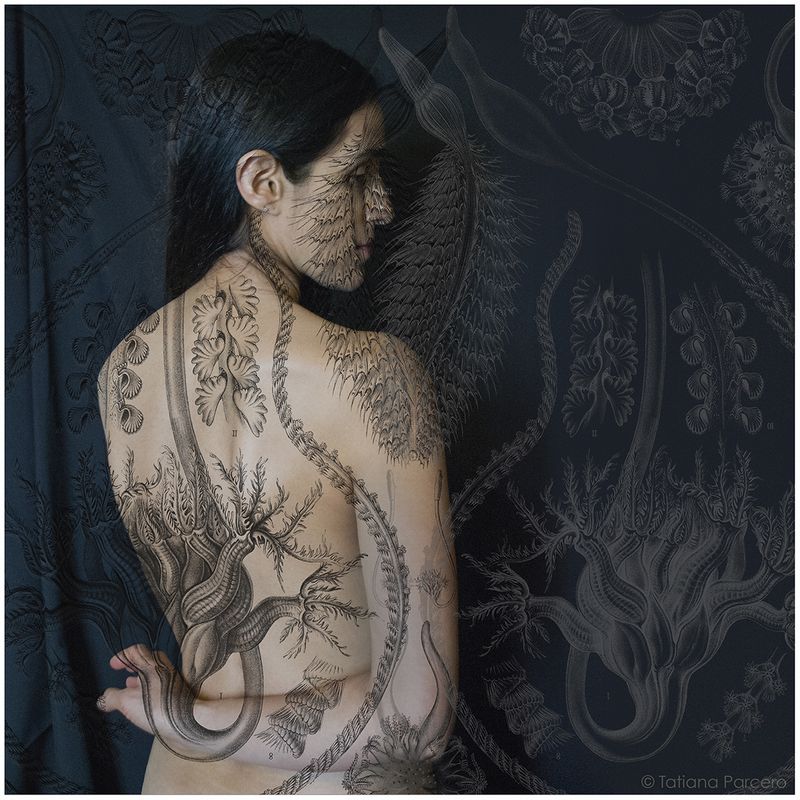 ©Tatiana Parcero, from the series Universus