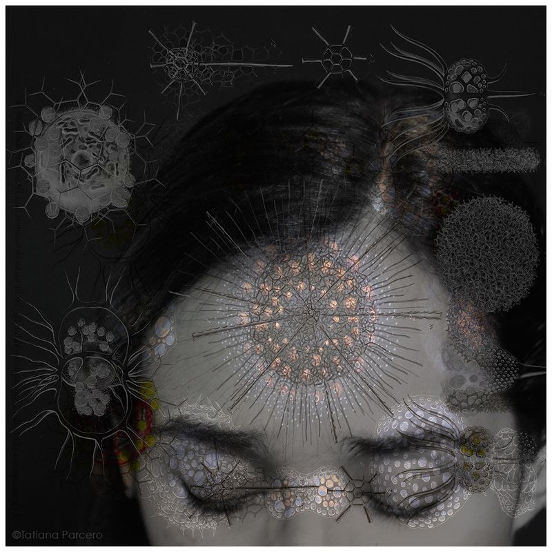 ©Tatiana Parcero, from the series Universus