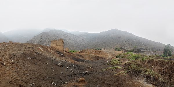 © Constanza Bravo, from the series Fractal