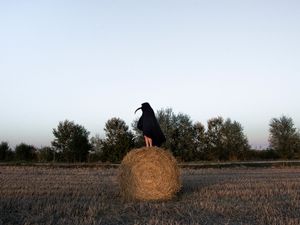 A Mexican Photographer Confronts Her Difficult Personal History