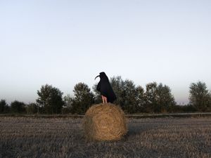 A Mexican Photographer Confronts Her Difficult Personal History