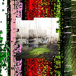 Intersecting Nature and Technology