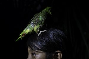 Rediscovering Childhood Memories and the Mysteries of Everyday Life