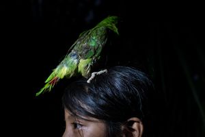 Rediscovering Childhood Memories and the Mysteries of Everyday Life