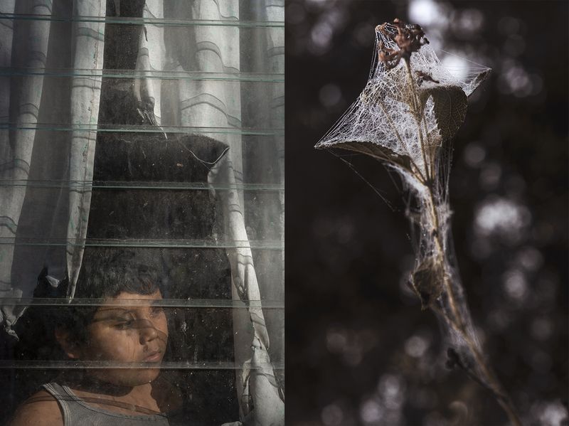 © Tania Barrientos, from the series Doce Viajes al Japόn