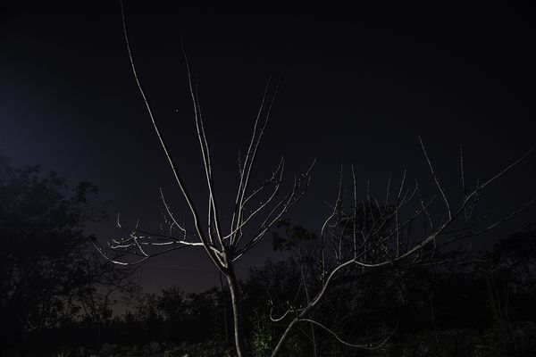 © Tania Barrientos, from the series Doce Viajes al Japόn