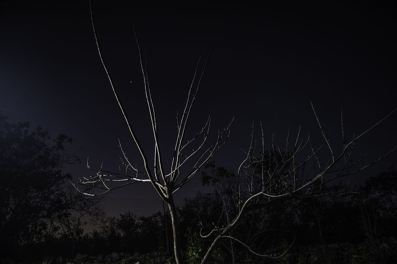 © Tania Barrientos, from the series Doce Viajes al Japόn