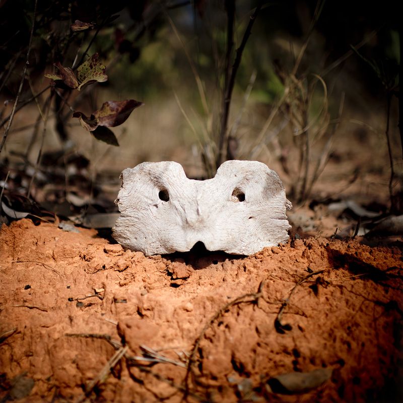 © José Diniz, from the series, Terra Roxa