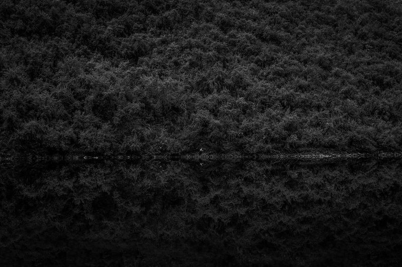 © Florence Goupil, from the series Don Benito Q'oriwaman