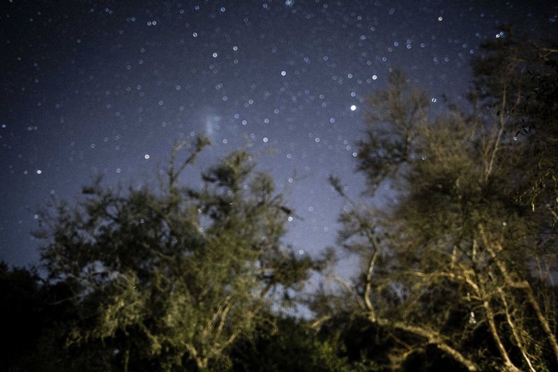 © Sarah Pabst, from the series, Reclusive