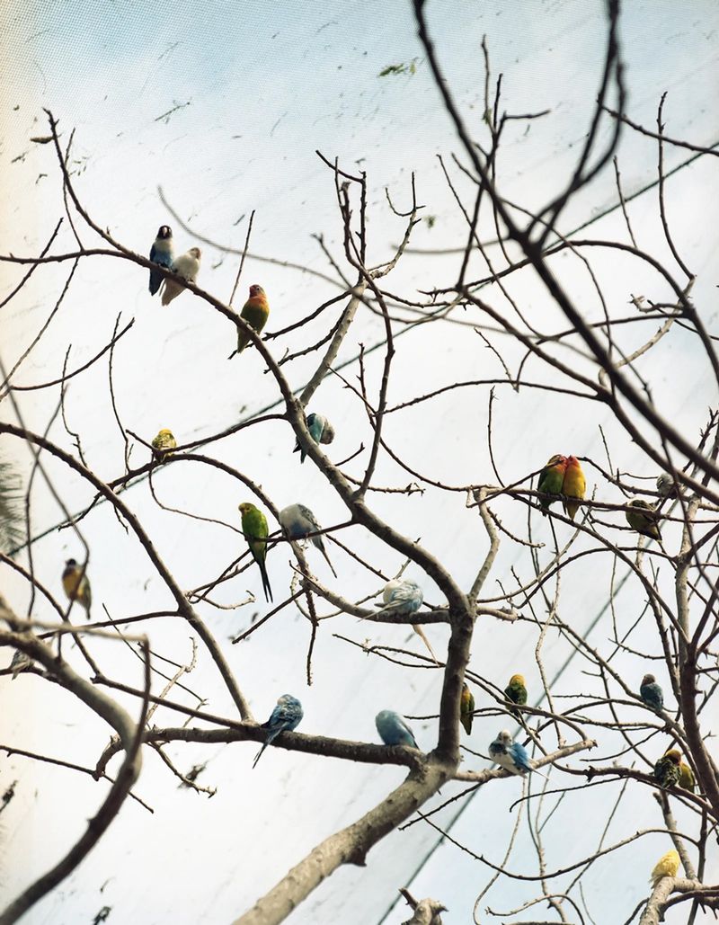 In Search of Life’s Small, Ephemeral Qualities