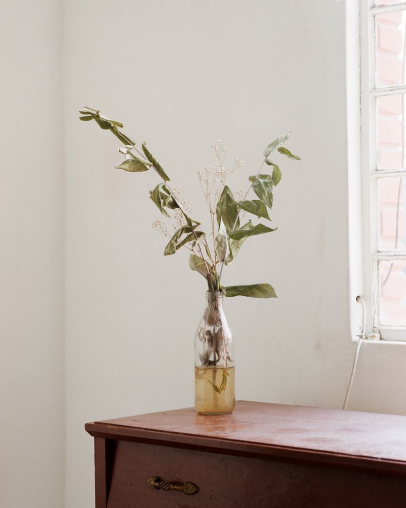 In Search of Life’s Small, Ephemeral Qualities