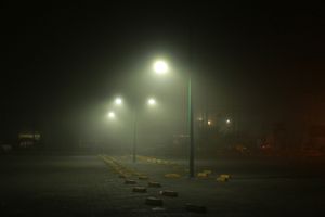 Questioning the Quiet Streets of Veracruz