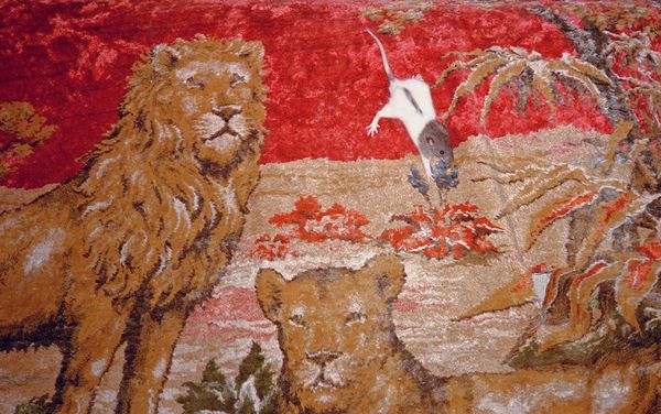 © Sofía Ayarzagoitia, from the series, Every night temo ser la dinner