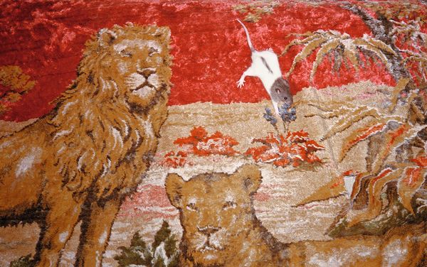 © Sofía Ayarzagoitia, from the series, Every night temo ser la dinner