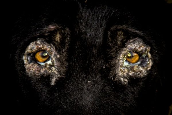 Survival Instincts in a Violent and Fragile World