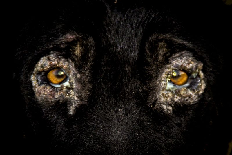 Survival Instincts in a Violent and Fragile World