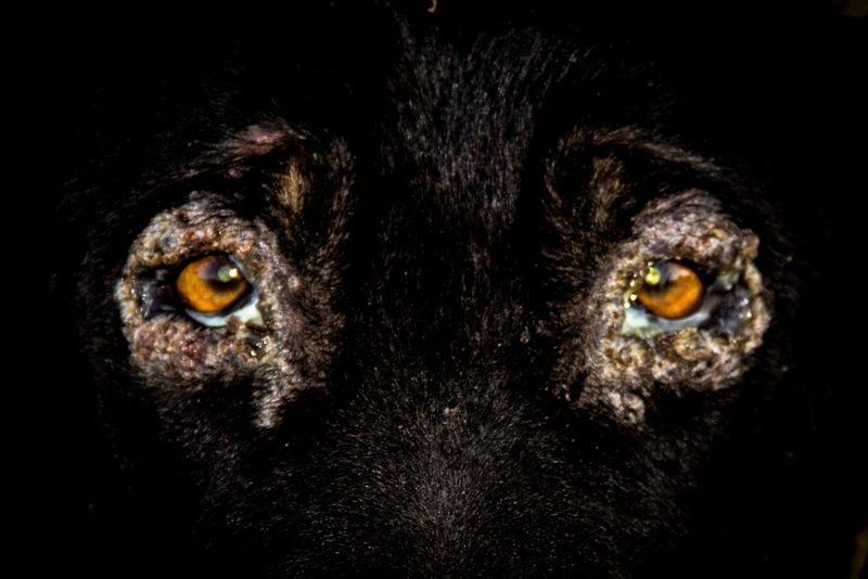 Survival Instincts in a Violent and Fragile World