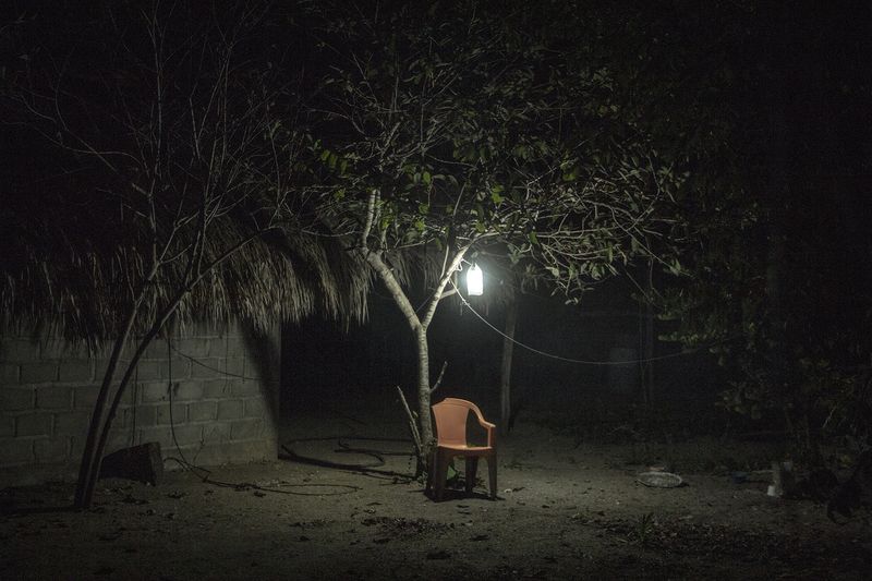 Survival Instincts in a Violent and Fragile World