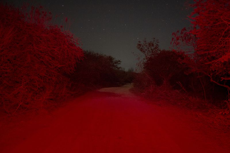 Survival Instincts in a Violent and Fragile World