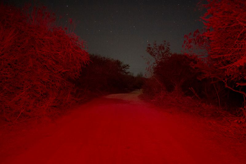 Survival Instincts in a Violent and Fragile World