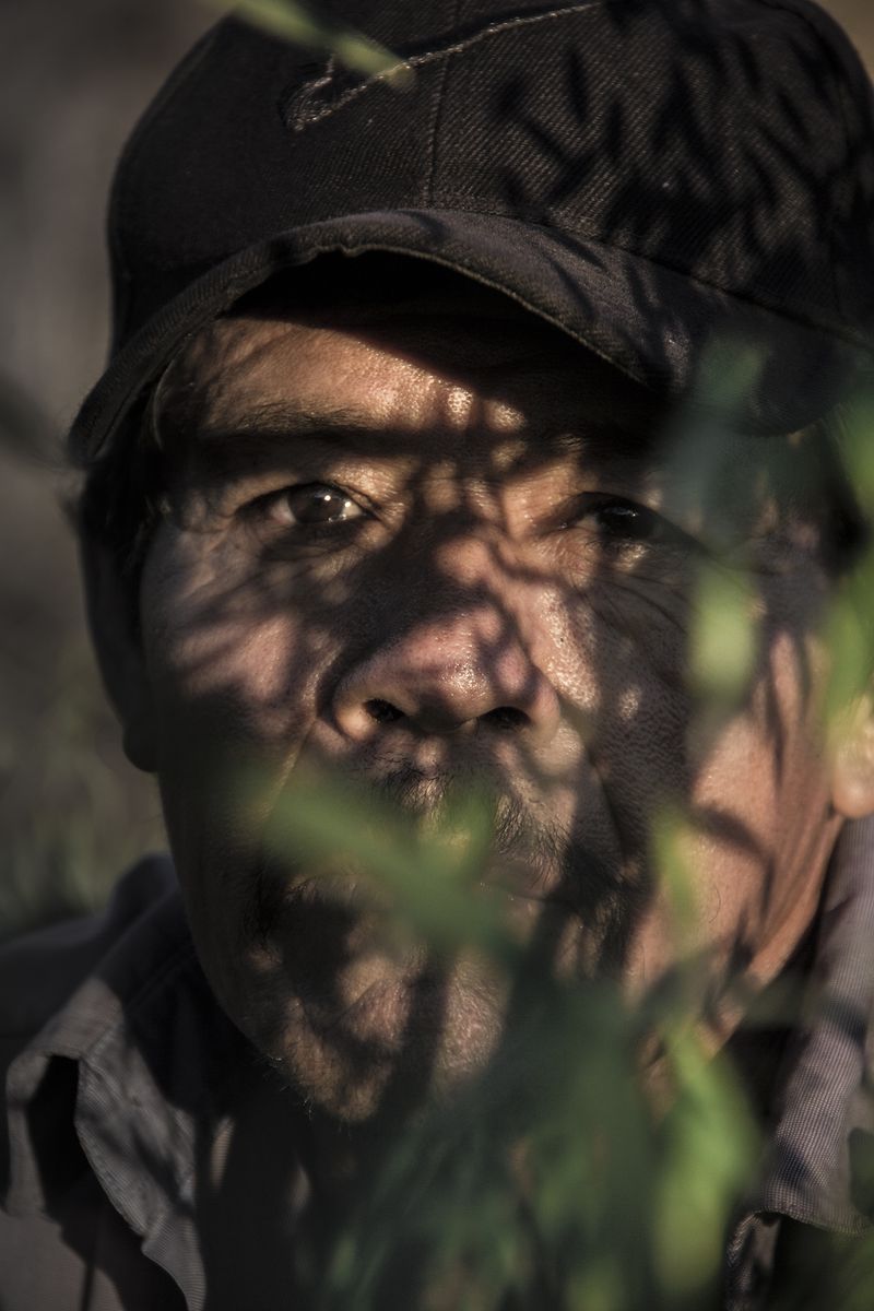 Survival Instincts in a Violent and Fragile World