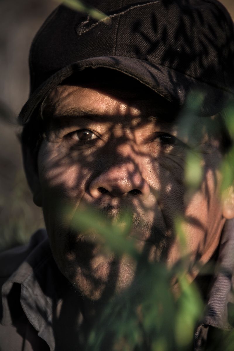 Survival Instincts in a Violent and Fragile World