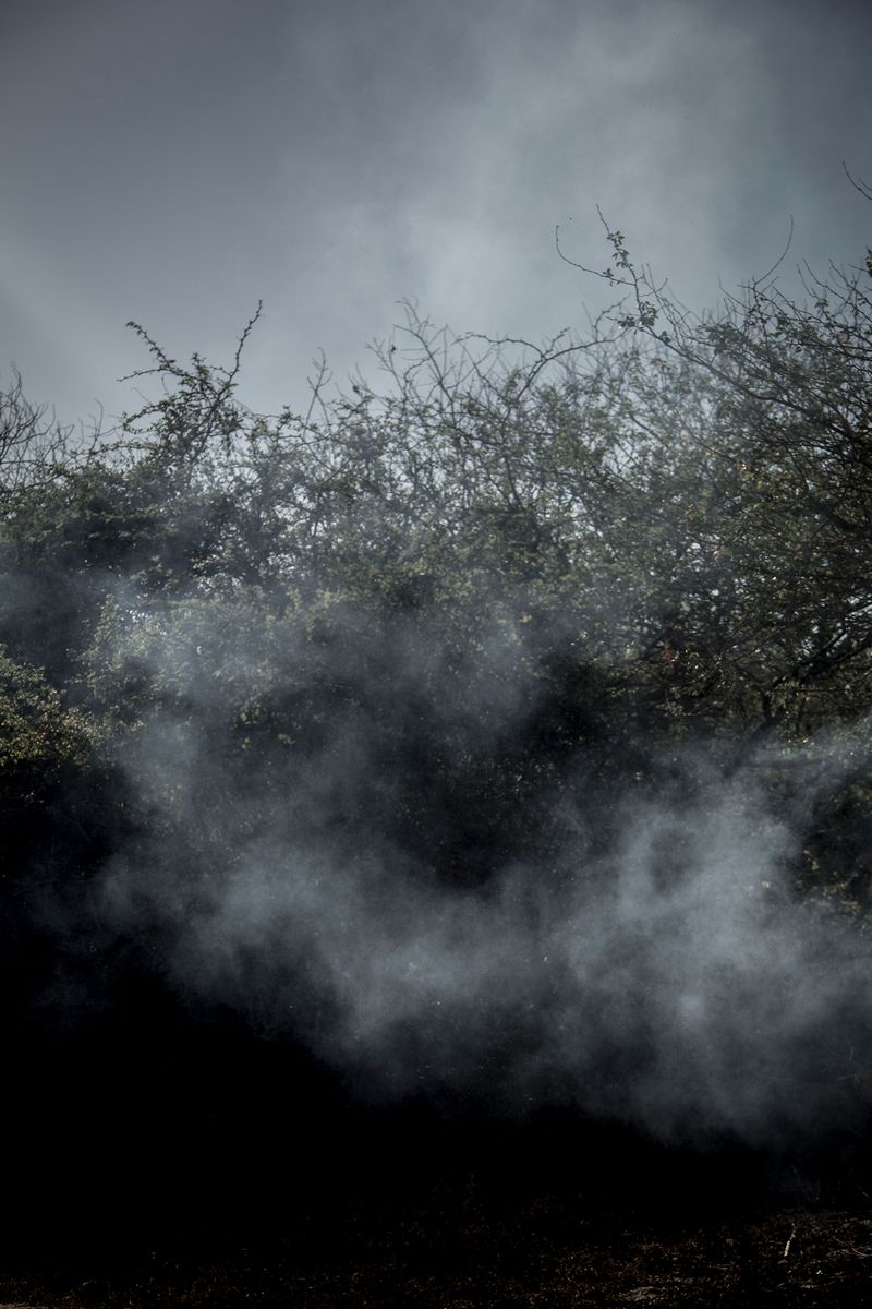 Survival Instincts in a Violent and Fragile World