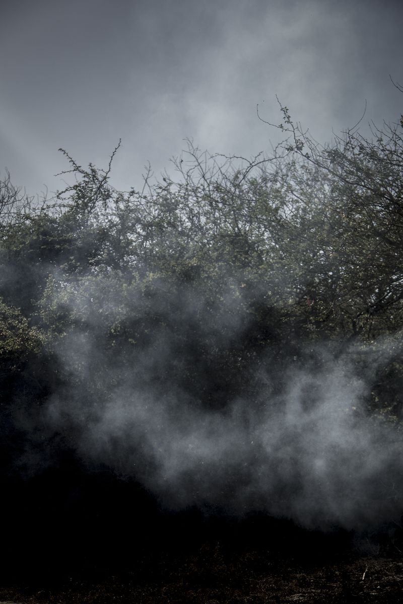 Survival Instincts in a Violent and Fragile World