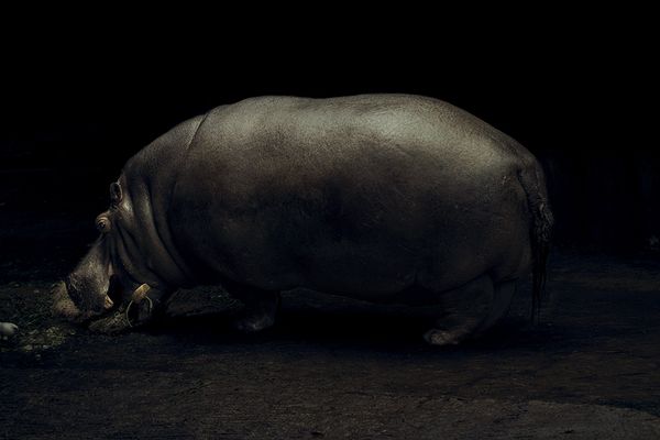 © Maria Portaluppi, from the series, This Is Not Paradise