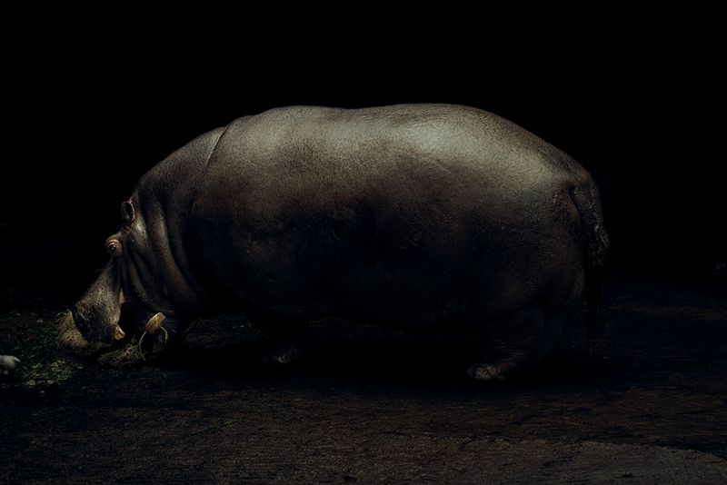 © Maria Portaluppi, from the series, This Is Not Paradise