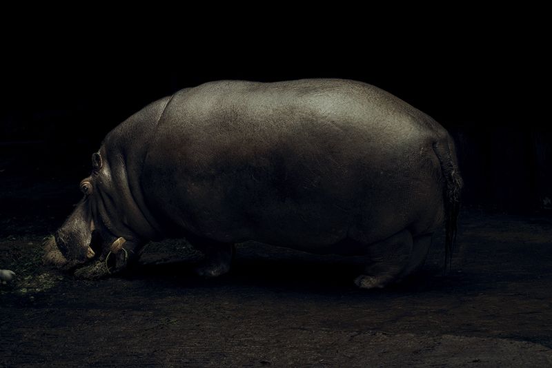 © Maria Portaluppi, from the series, This Is Not Paradise