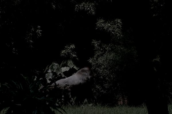 © Maria Portaluppi, from the series, This Is Not Paradise