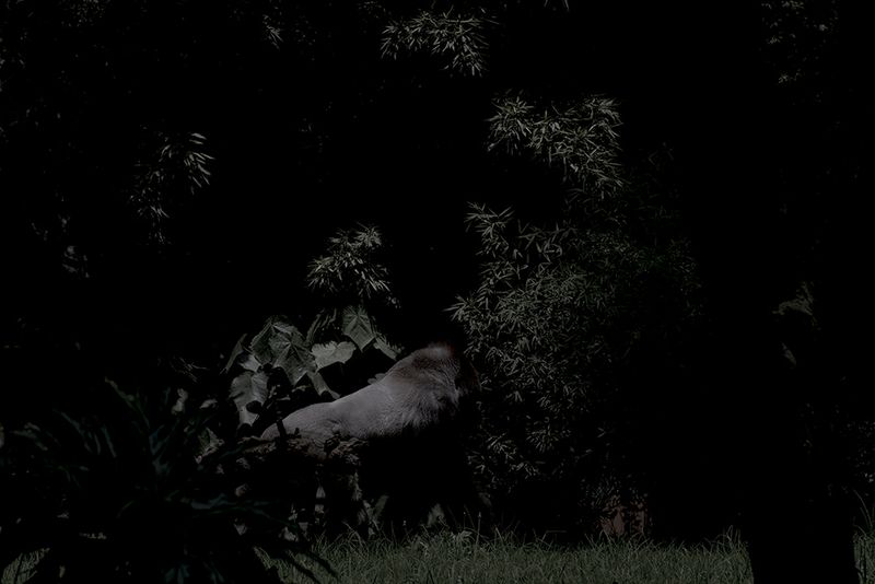 © Maria Portaluppi, from the series, This Is Not Paradise