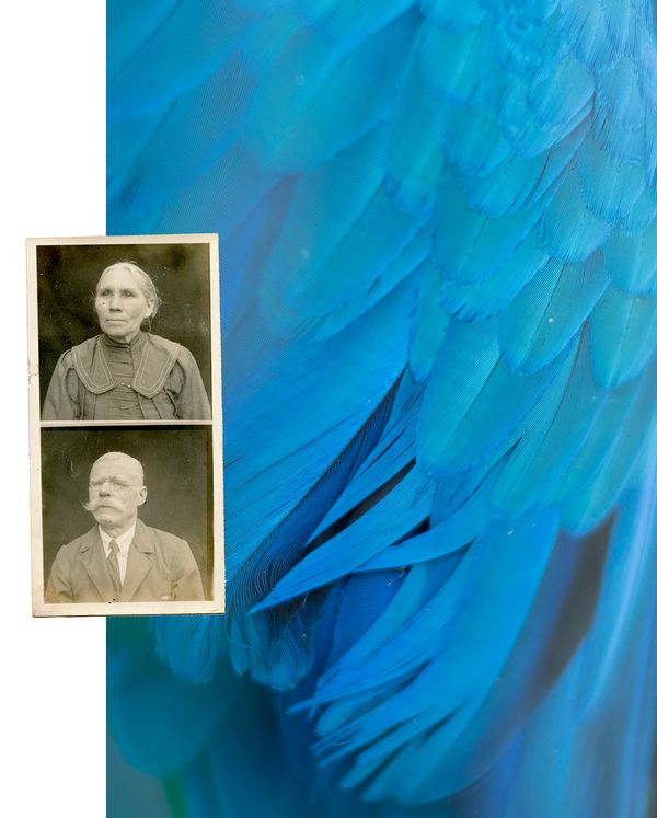 © Katarzyna and Marianne Wasowska, from the series Waiting for the Snow