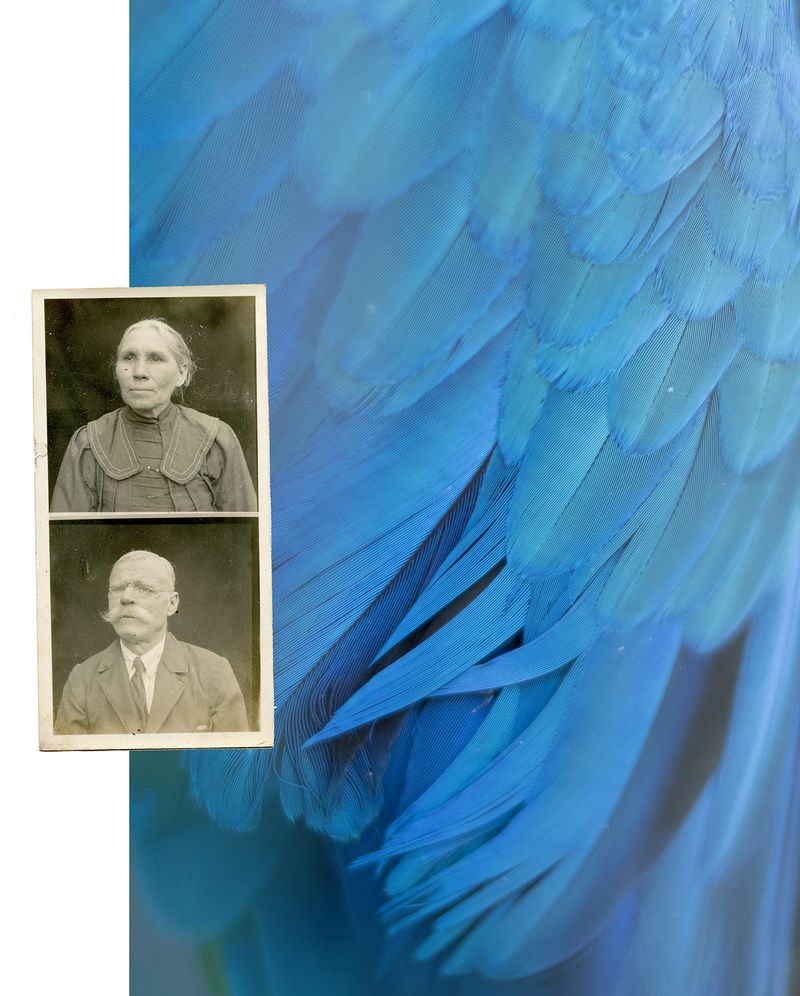 © Katarzyna and Marianne Wasowska, from the series Waiting for the Snow